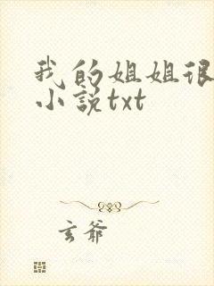 我的姐姐很弟控小说txt