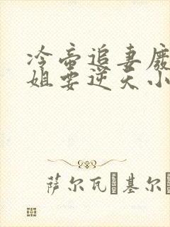 冷帝追妻废材小姐要逆天小说完整