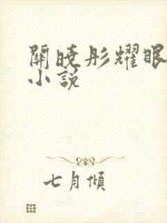 关晓彤耀眼原著小说