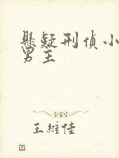 悬疑刑侦小说双男主