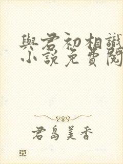 与君初相识原著小说免费阅读