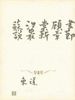 苏汐棠顾聿川小说最新章节免费阅读