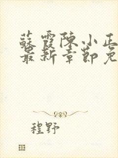 苏霞陈小正小说最新章节免费阅读