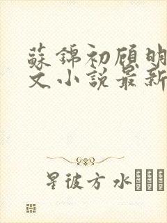 苏锦初顾明琛全文小说最新章节更新