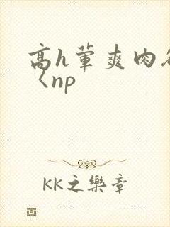 高h荤爽肉欲文〈np