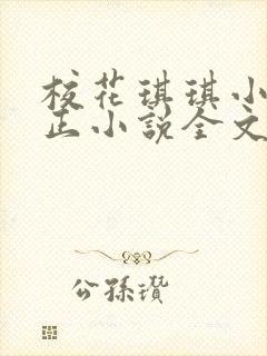 校花琪琪小刚小正小说全文免费