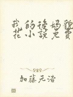 我的后妈貌美如花小说免费看