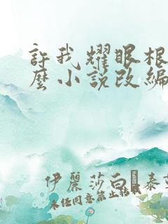 许我耀眼根据什么小说改编