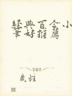 经典百合小说文笔好推荐