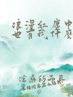 浪漫红尘中有你也有我什么歌