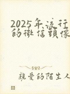 2025年流行的微信头像女