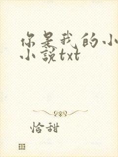 你是我的小确幸小说txt