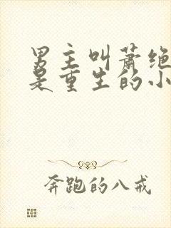 男主叫萧绝女主是重生的小说