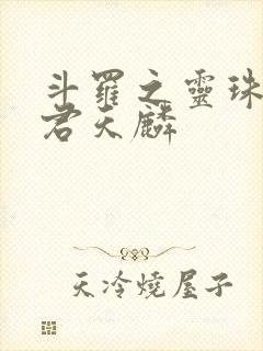 斗罗之灵珠神剑君天麟