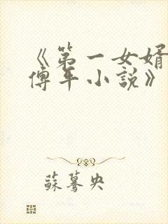 《第一女婿李艳傅平小说》