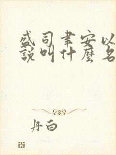 盛司聿安以夏小说叫什么名字