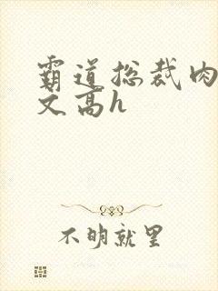 霸道总裁肉多荤文高h