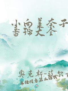 小向美奈子av番号大全