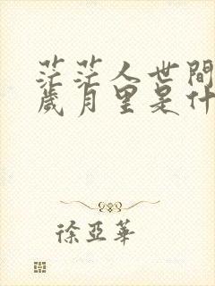 茫茫人世间匆匆岁月里是什么歌