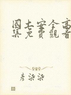 国土安全高清全集免费观看