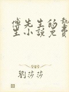 傅先生的挚爱一生小说免费阅读