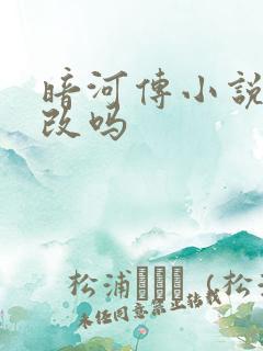 暗河传小说是耽改吗