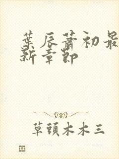 叶辰萧初最新更新章节