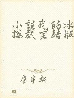 小说我的冰山女总裁完结版