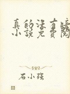 真的没有暗恋你小说免费阅读