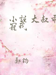 小说 大叔乖乖宠我