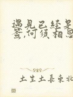 遇见已经是上上签,何须相思煮余年