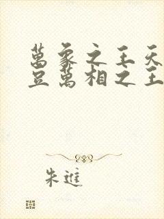 万象之王天蚕土豆万相之王