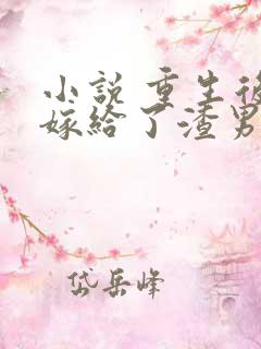 小说 重生后我嫁给了渣男的死对头