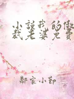 小说我的傲娇总裁老婆免费阅读