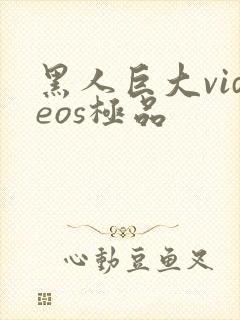 黑人巨大videos极品