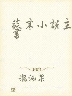 苏寒小说主角的书