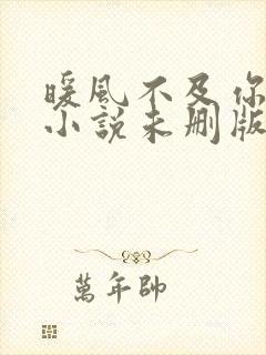 暖风不及你情深小说未删版完整