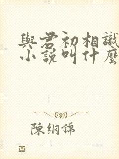 与君初相识原著小说叫什么