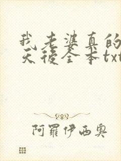 我老婆真的不是天后全本txt下载