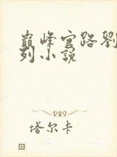 巅峰官路刘飞系列小说