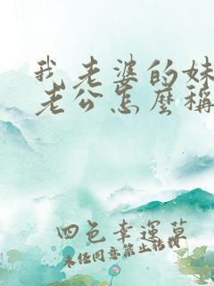 我老婆的妹妹的老公怎么称呼