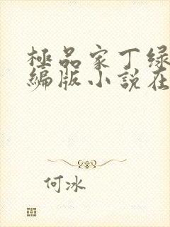 极品家丁绿帽改编版小说在哪里看