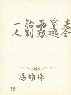 一胎两宝老婆大人别想逃全文阅读