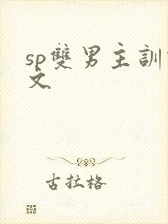 sp双男主训诫文