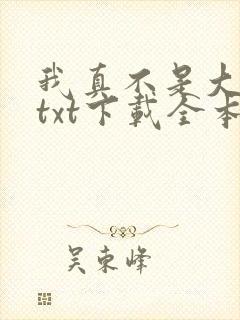 我真不是大明星txt下载全本