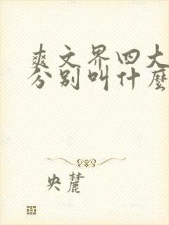 爽文界四大女主分别叫什么