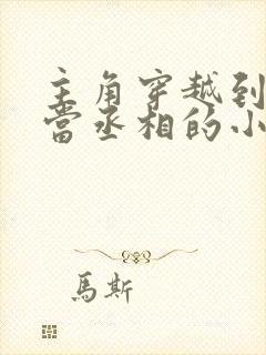 主角穿越到秦朝当丞相的小说