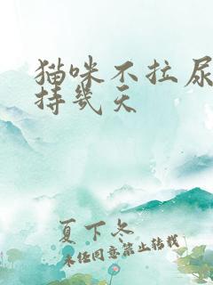 猫咪不拉尿能坚持几天