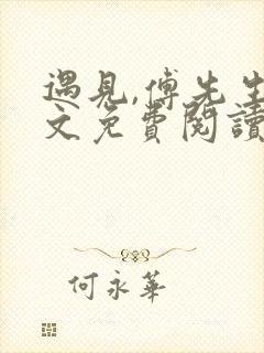 遇见,傅先生全文免费阅读