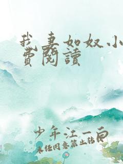 我妻如奴小雅免费阅读